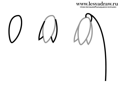 Как нарисовать подснежник
