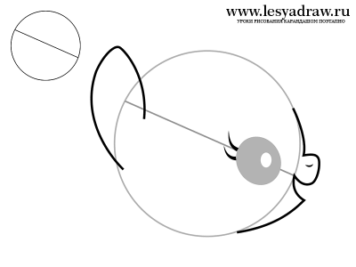 Рисуем голову маленькой пони