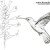Как нарисовать колибри